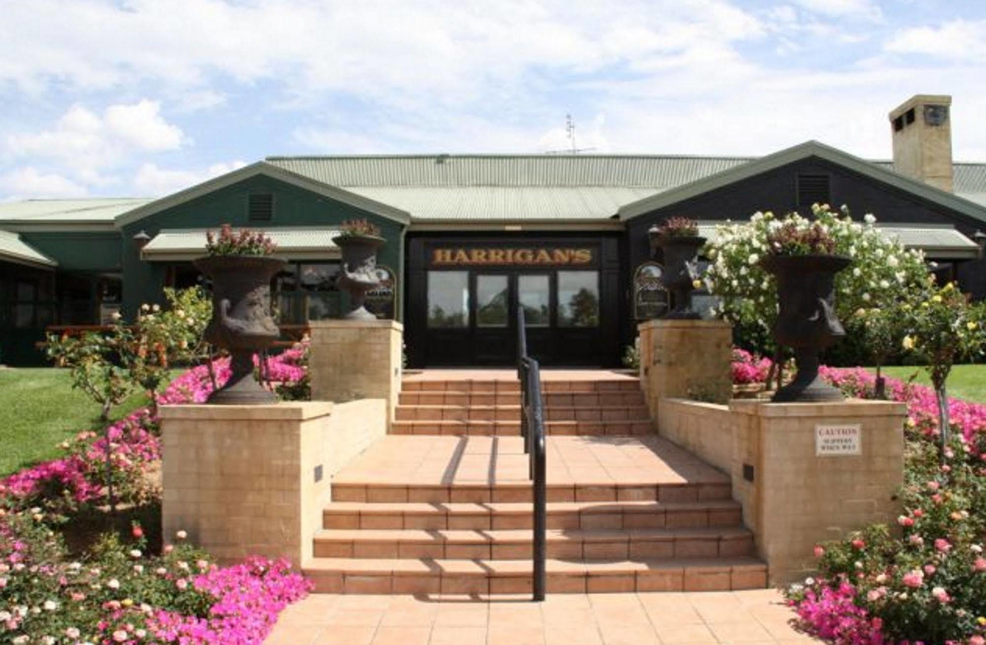 Harrigans Irish Pub&Alojamiento Pokolbin Exterior foto